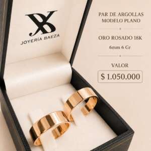 Par de Argollas Modelo pla