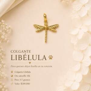 Colgante libélula